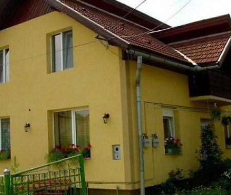 Pensiunea Bio Coltău Buitenkant foto